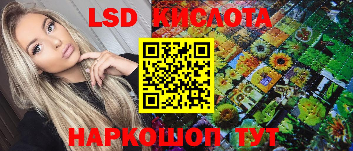 Камышлов  Марки NBOMe 1,5мг  что такое наркотик  Вход с VPN 