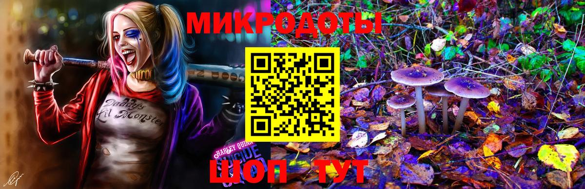 Камышлов  Галлюциногенные грибы GOLDEN TEACHER  купить наркотики сайты  Вход с VPN 